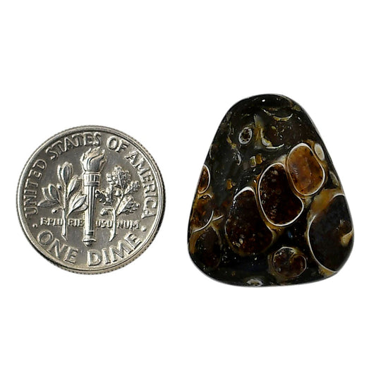 Turtella Jasper 20x23.2x6.7 mm Fancy Shape Polished Gemstone LS70-05804