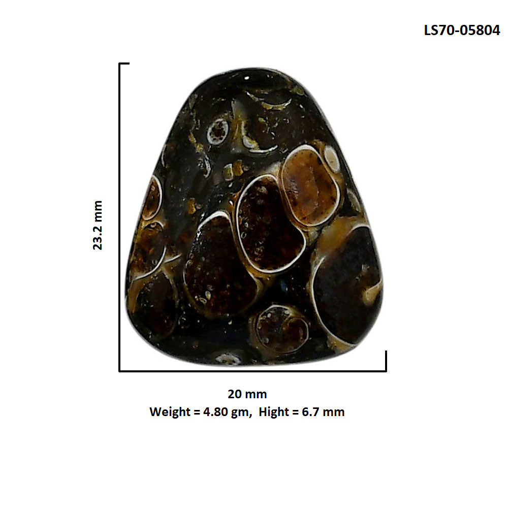 Turtella Jasper 20x23.2x6.7 mm Fancy Shape Polished Gemstone LS70-05804