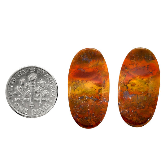 Rare Cady Mountain Agate Pair 14.2x27.3x4.5 mm Oval Shape Polished Gemstone LS71-04342