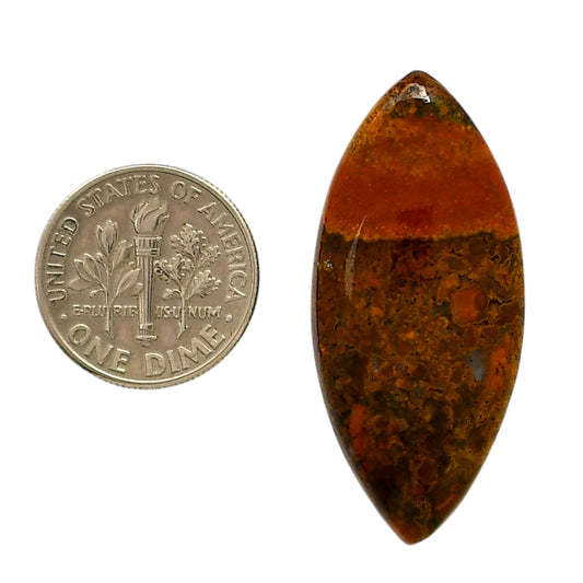 Rare Cady Mountain Agate 17x37.5x6.3 mm Marquise Shape Polished Gemstone LS71-05532