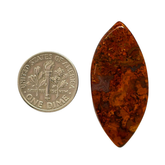 Rare Cady Mountain Agate 17x36.8x5 mm Marquise Shape Polished Gemstone LS71-05533