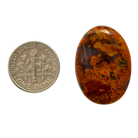 Rare Cady Mountain Agate 19.3x27.1x6 mm Oval Shape Polished Gemstone LS71-05538