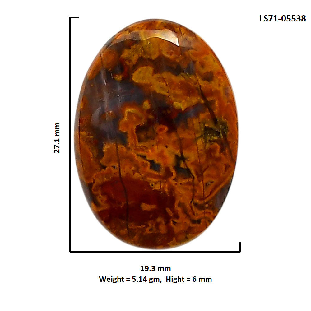 Rare Cady Mountain Agate 19.3x27.1x6 mm Oval Shape Polished Gemstone LS71-05538