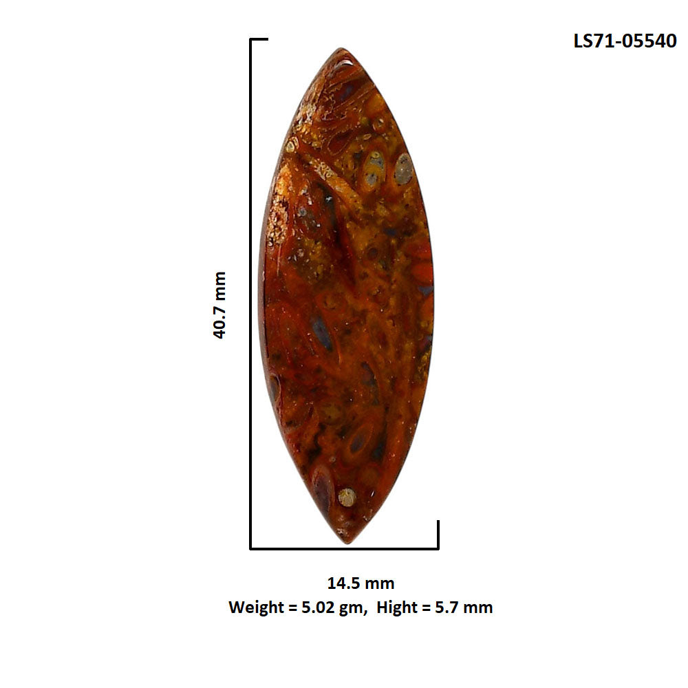 Rare Cady Mountain Agate 14.5x40.7x5.7 mm Marquise Shape Polished Gemstone LS71-05540