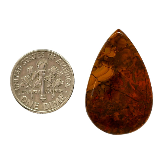Rare Cady Mountain Agate 18.8x29.35x4.7 mm Pear Shape Polished Gemstone LS71-05543