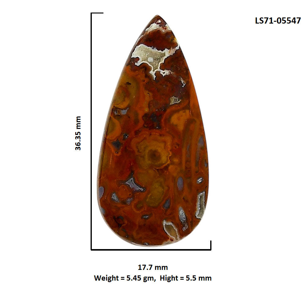 Rare Cady Mountain Agate 17.7x36.35x5.5 mm Pear Shape Polished Gemstone LS71-05547