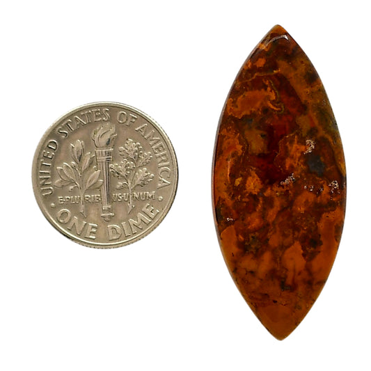 Rare Cady Mountain Agate 16.5x28.25x5.7 mm Marquise Shape Polished Gemstone LS71-05551