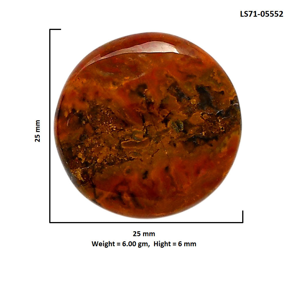 Rare Cady Mountain Agate 25x25x6 mm Round Shape Polished Gemstone LS71-05552