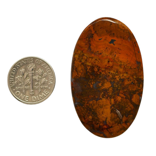 Rare Cady Mountain Agate 27x44.5x5.8 mm Oval Shape Polished Gemstone LS71-05558