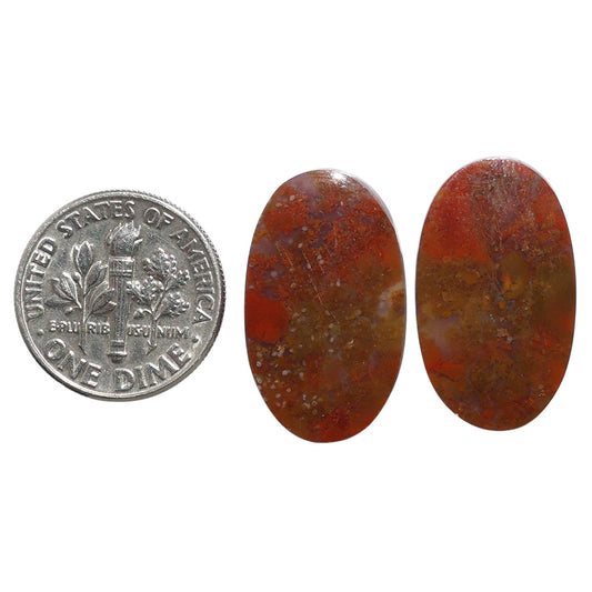 Rare Cady Mountain Agate Pair 13.6x23x3.8 mm Oval Shape Polished Gemstone LS71-07610