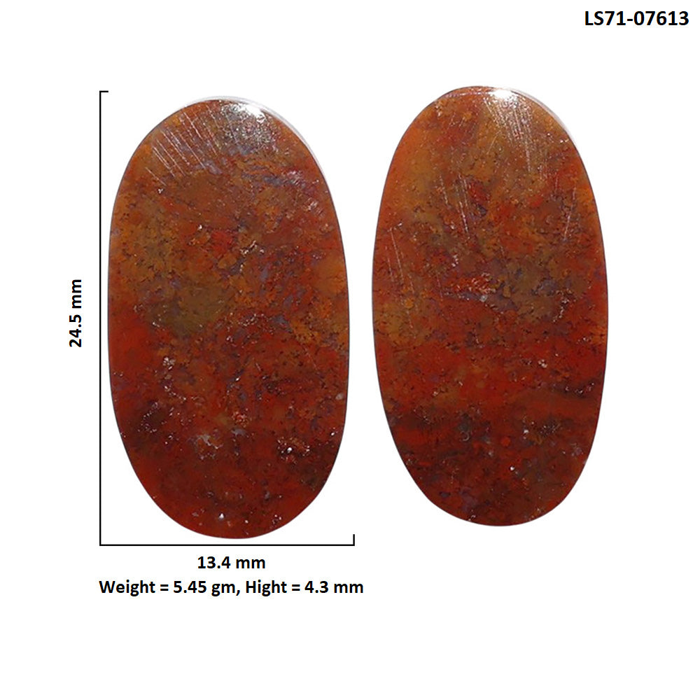 Rare Cady Mountain Agate Pair 13.4x24.5x4.3 mm Oval Shape Polished Gemstone LS71-07613