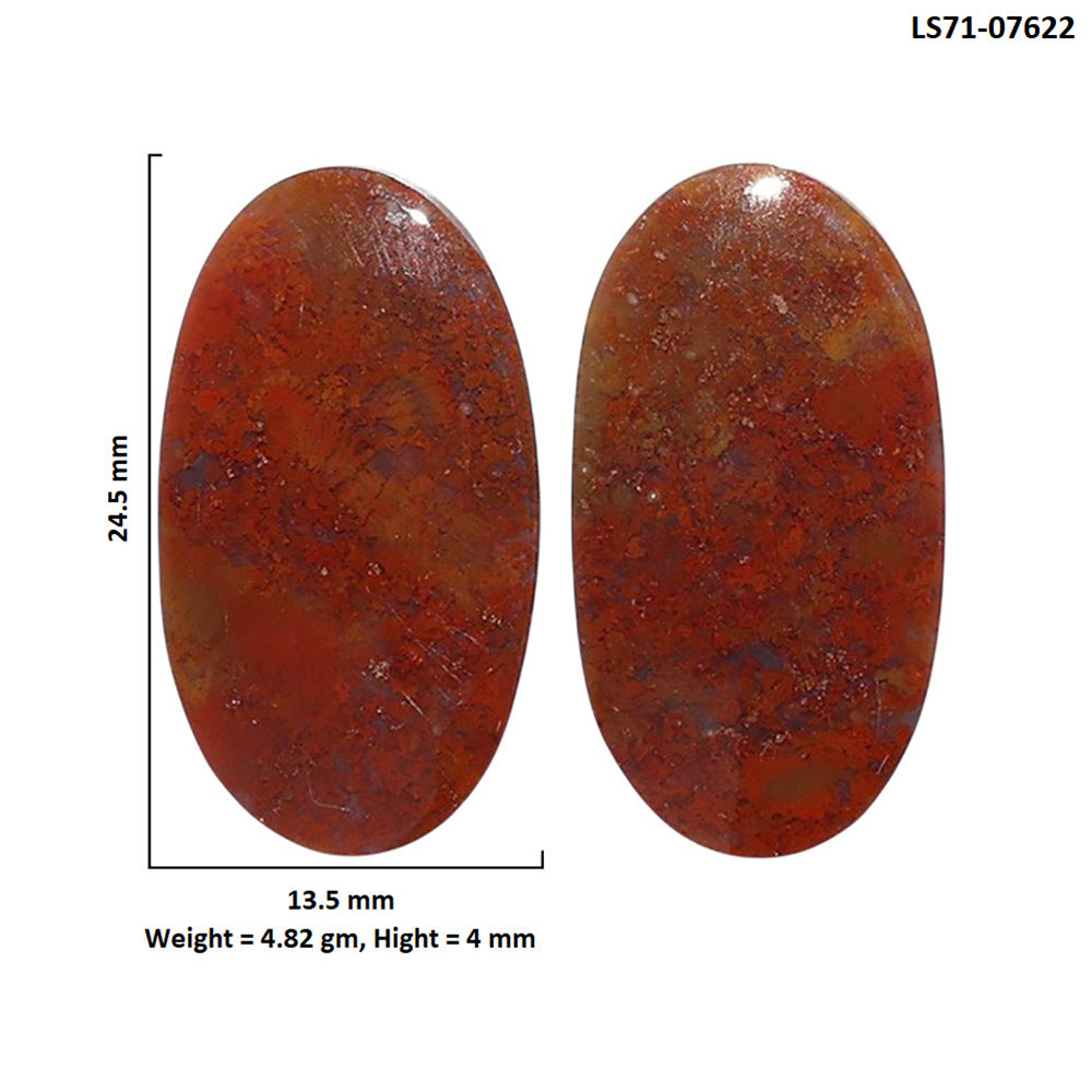 Rare Cady Mountain Agate Pair 13.5x24.5x4 mm Oval Shape Polished Gemstone LS71-07622