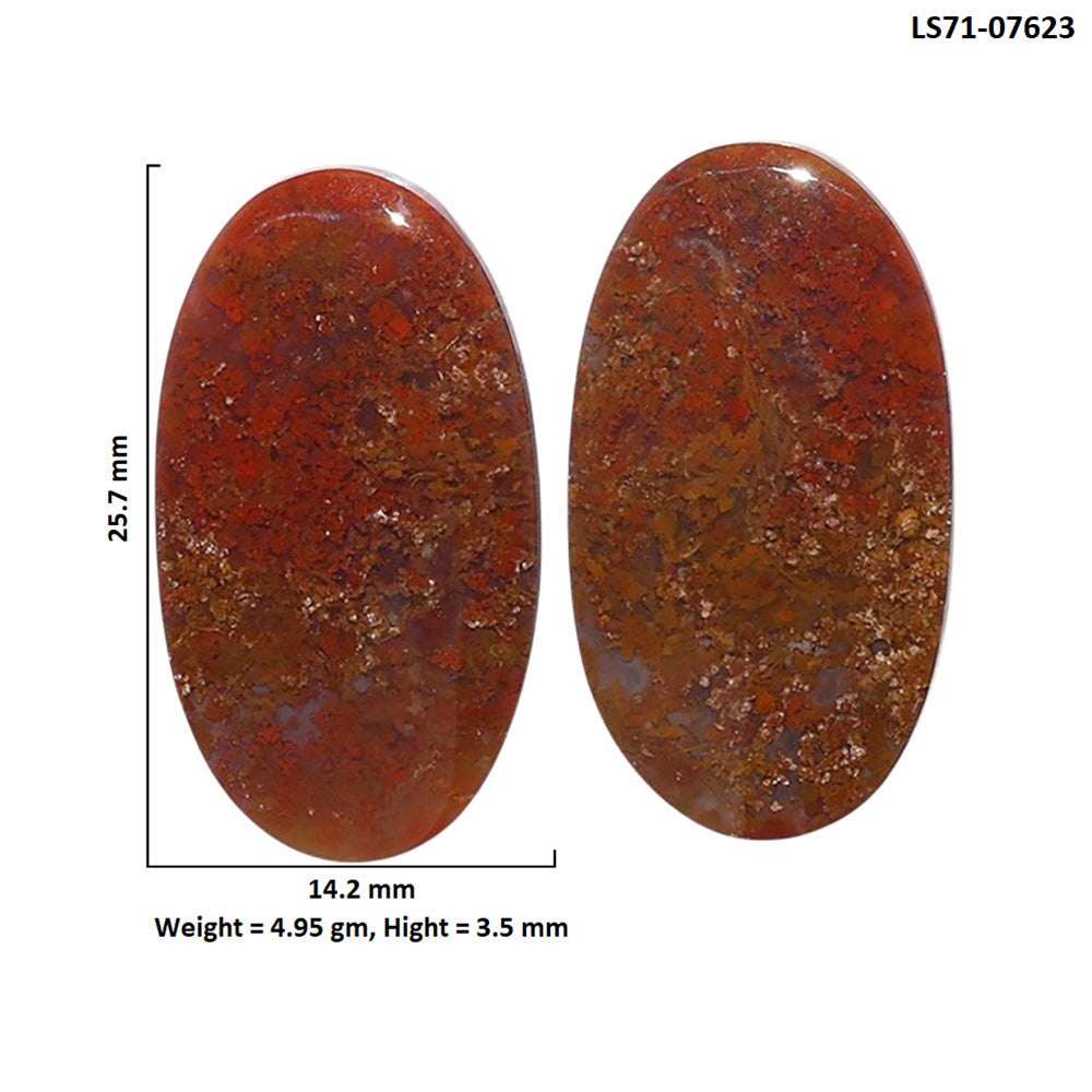 Rare Cady Mountain Agate Pair 14.2x25.7x3.5 mm Oval Shape Polished Gemstone LS71-07623