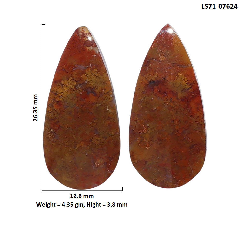 Rare Cady Mountain Agate Pair 12.6x26.35x3.8 mm Pear Shape Polished Gemstone LS71-07624