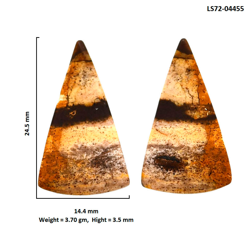 Outback Jasper Pair 14.4x24.5x3.5 mm Fancy Shape Polished Gemstone LS72-04455
