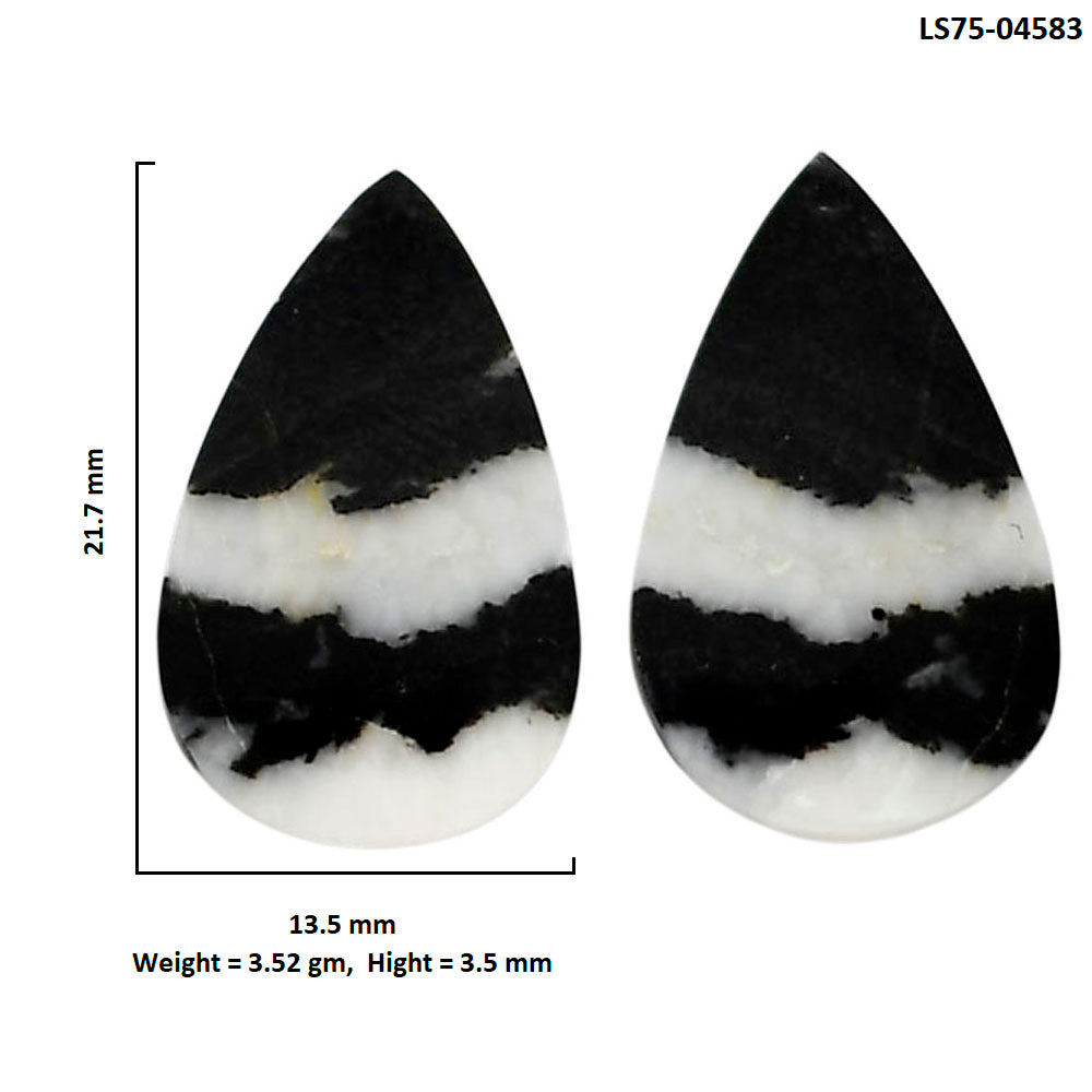 Black Zebra Jasper Pair 13.5x21.7x3.5 mm Pear Shape Polished Gemstone LS75-04583