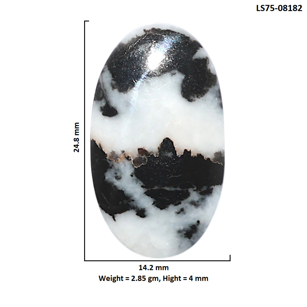 Black Zebra Jasper 14.2x24.8x4 mm Oval Shape Polished Gemstone LS75-08182