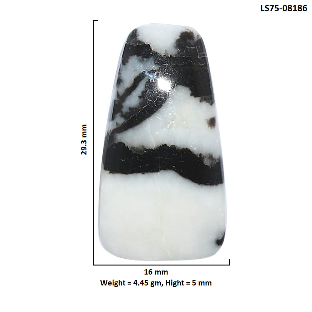 Black Zebra Jasper 16x29.3x5 mm Fancy Shape Polished Gemstone LS75-08186