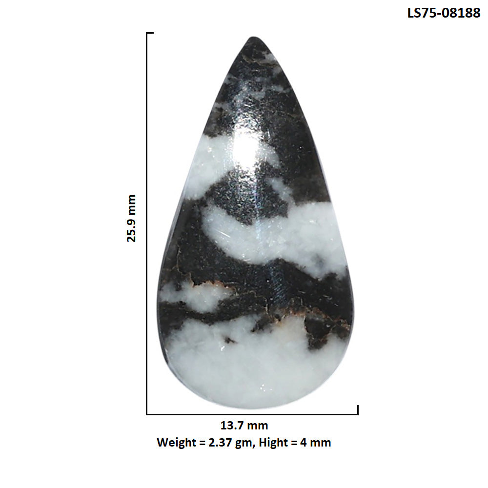 Black Zebra Jasper 13.7x25.9x4 mm Pear Shape Polished Gemstone LS75-08188