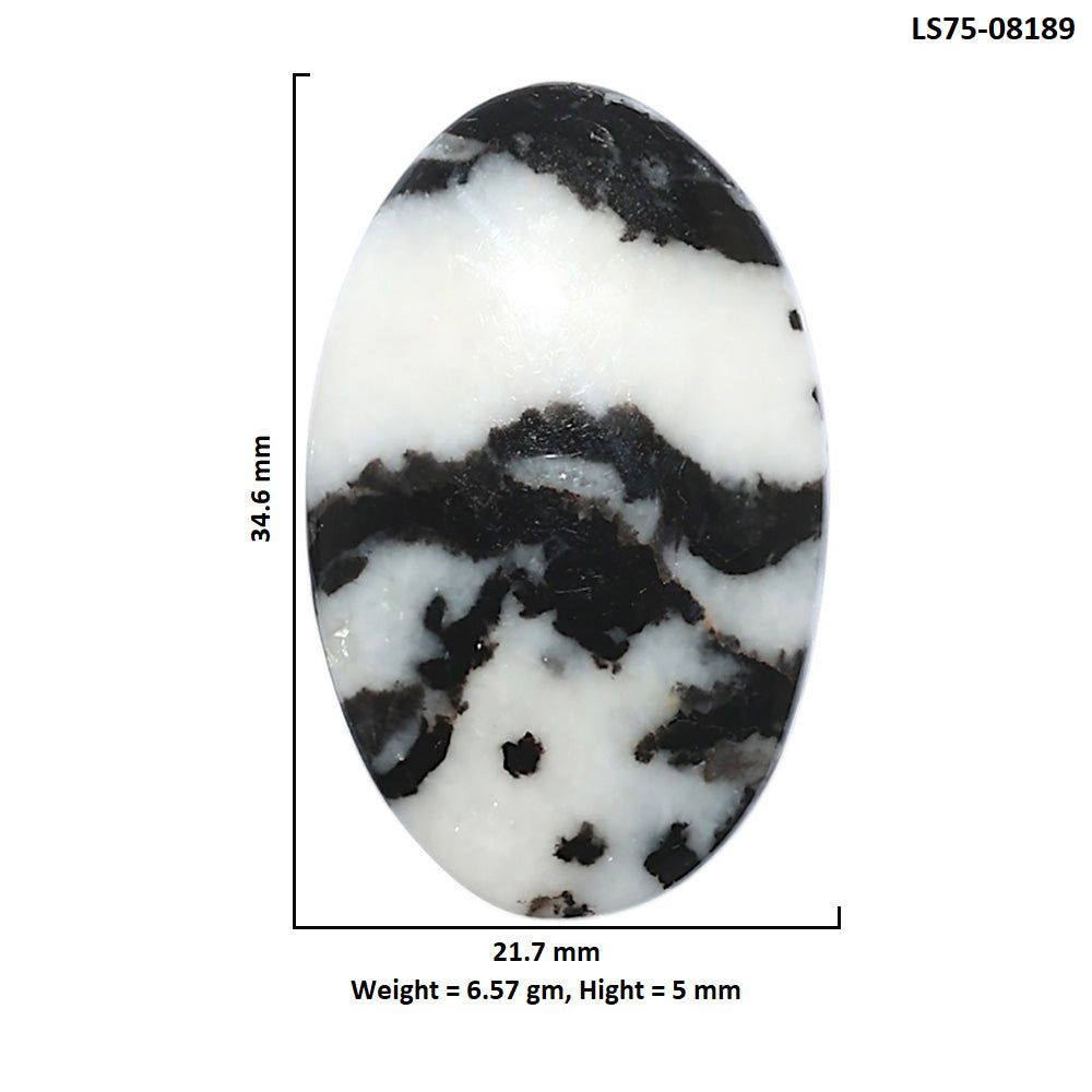 Black Zebra Jasper 21.7x34.6x5 mm Oval Shape Polished Gemstone LS75-08189