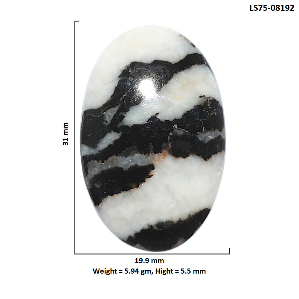 Black Zebra Jasper 19.9x31x5.5 mm Oval Shape Polished Gemstone LS75-08192
