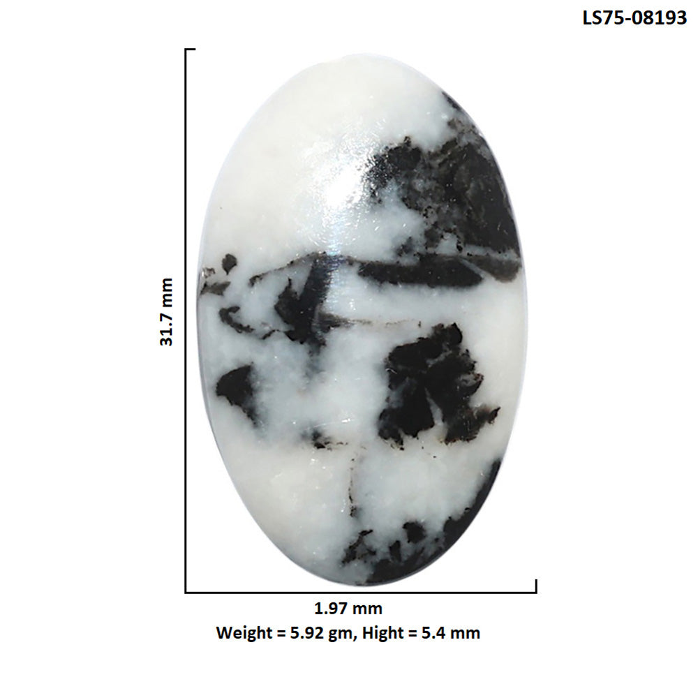Black Zebra Jasper 1.97x31.7x5.4 mm Oval Shape Polished Gemstone LS75-08193