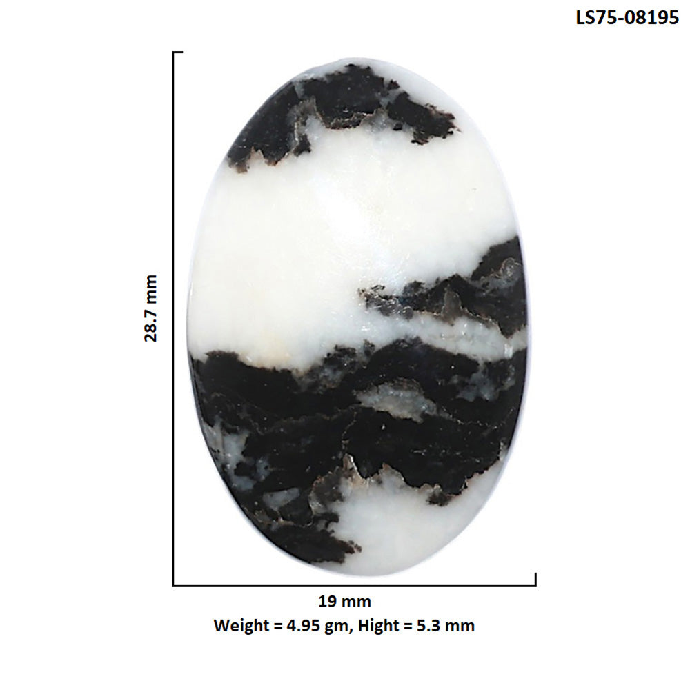 Black Zebra Jasper 19x28.7x5.3 mm Oval Shape Polished Gemstone LS75-08195