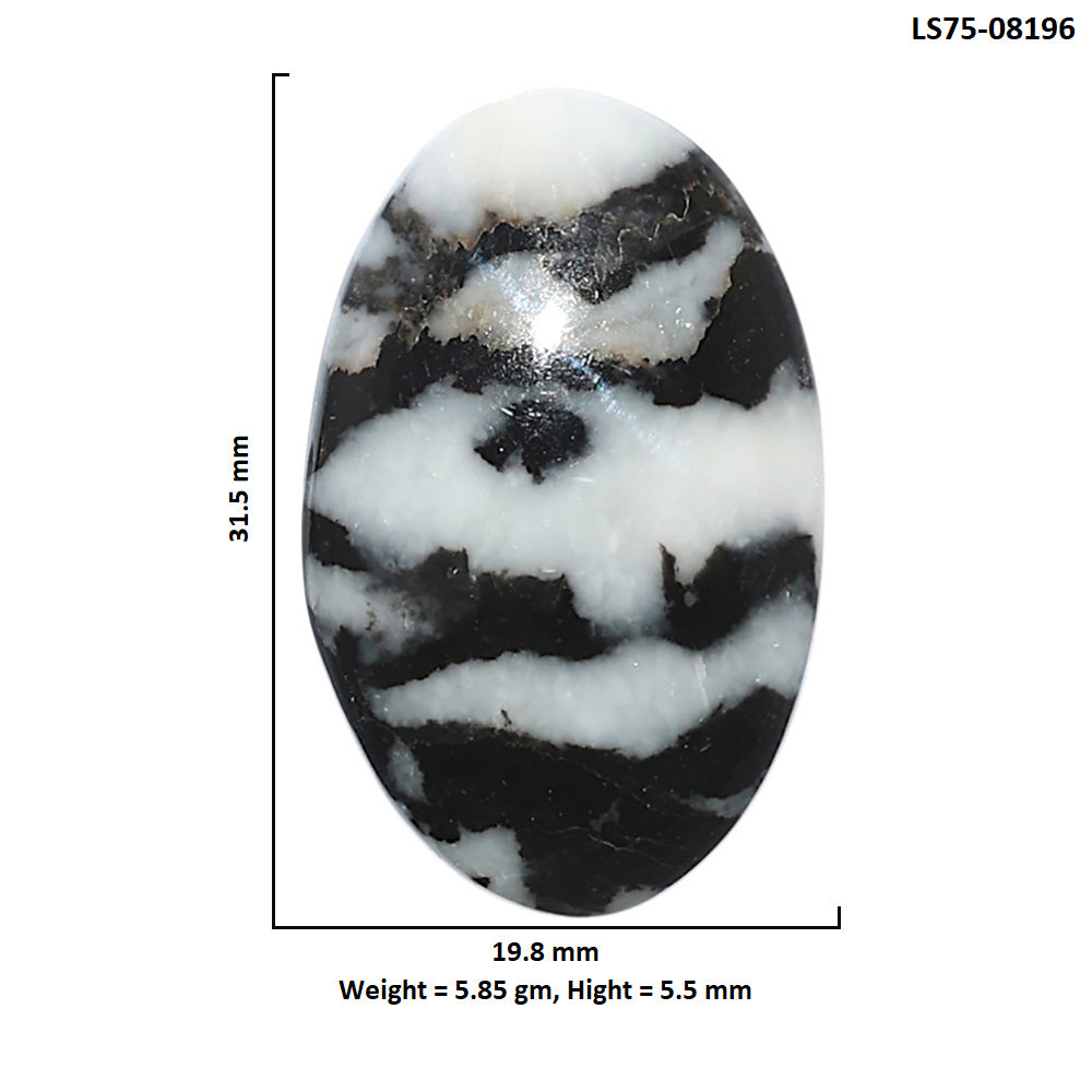 Black Zebra Jasper 19.8x31.5x5.5 mm Oval Shape Polished Gemstone LS75-08196