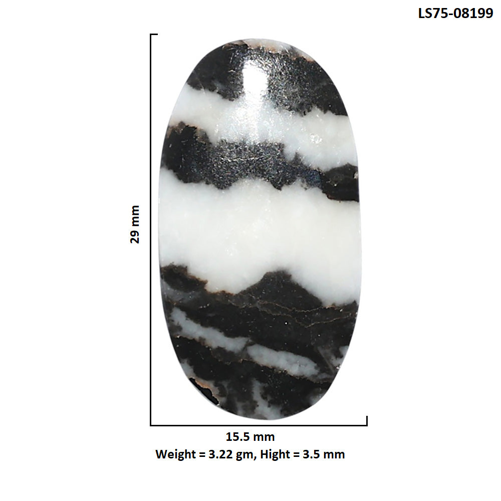 Black Zebra Jasper 15.5x29x3.5 mm Oval Shape Polished Gemstone LS75-08199