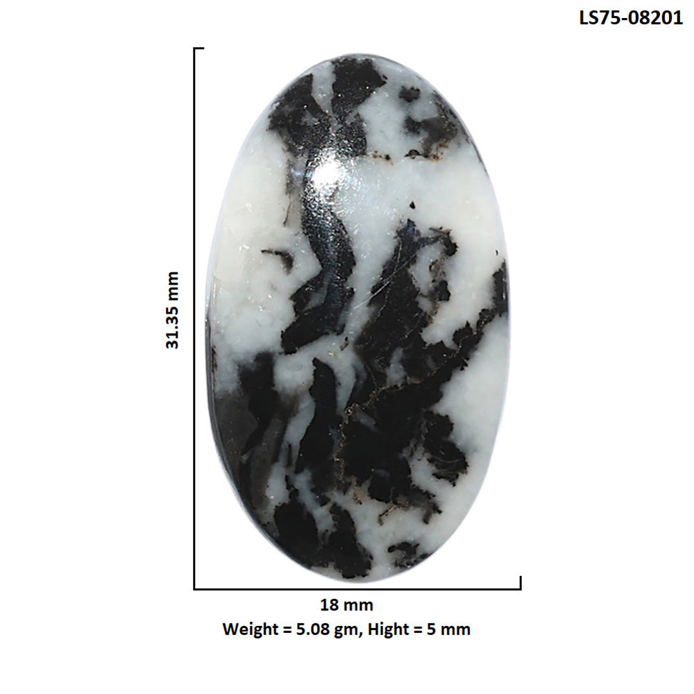 Black Zebra Jasper 18x31.35x5 mm Oval Shape Polished Gemstone LS75-08201