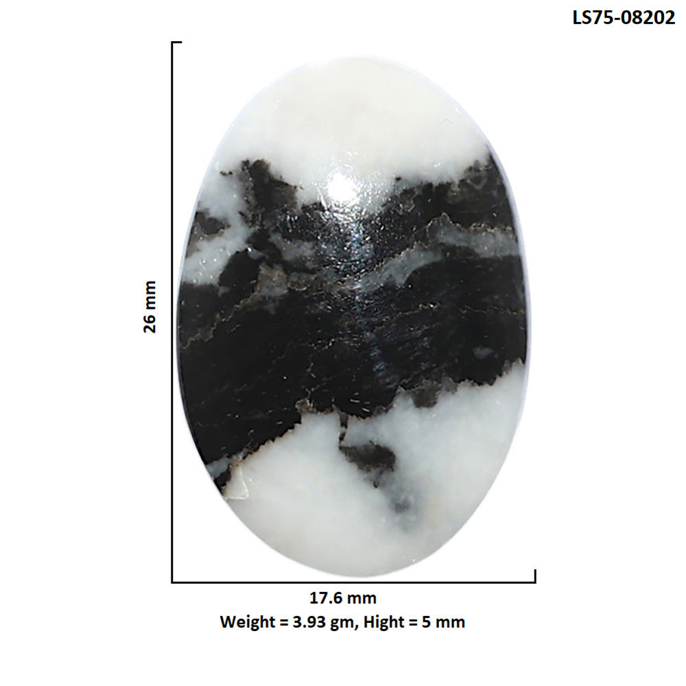 Black Zebra Jasper 17.6x26x5 mm Oval Shape Polished Gemstone LS75-08202