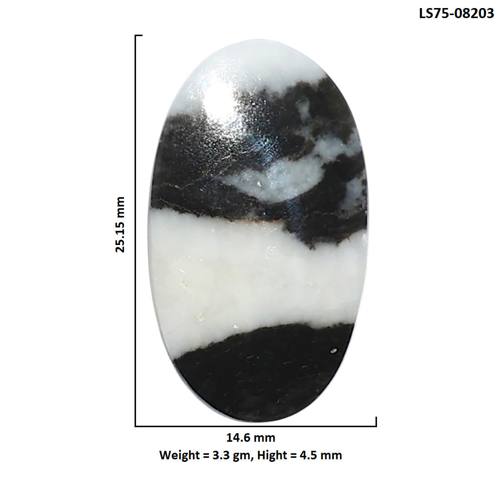 Black Zebra Jasper 14.6x25.15x4.5 mm Oval Shape Polished Gemstone LS75-08203