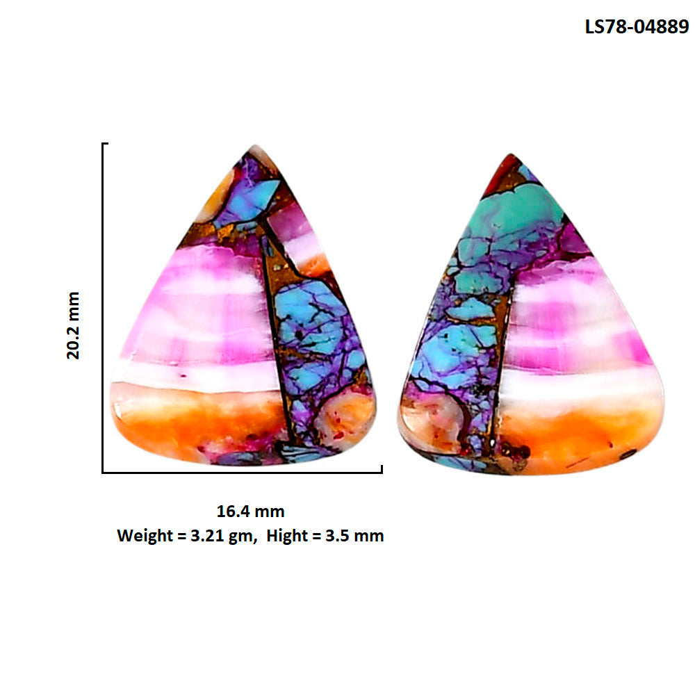 Kingman Orange Dahlia Turquoise Pair 16.4x20.2x3.5 mm Heart Shape Polished Gemstone LS78-04889