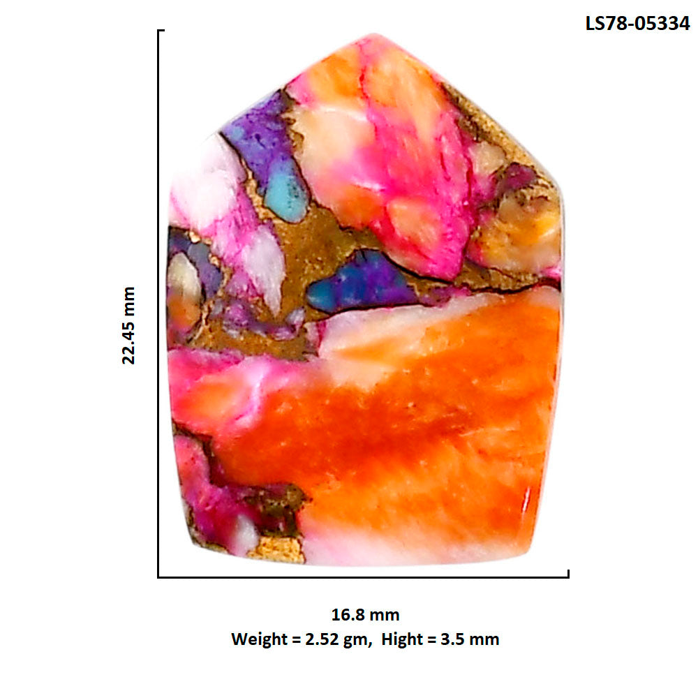Kingman Orange Dahlia Turquoise 16.8x22.45x3.5 mm Fancy Shape Polished Gemstone LS78-05334