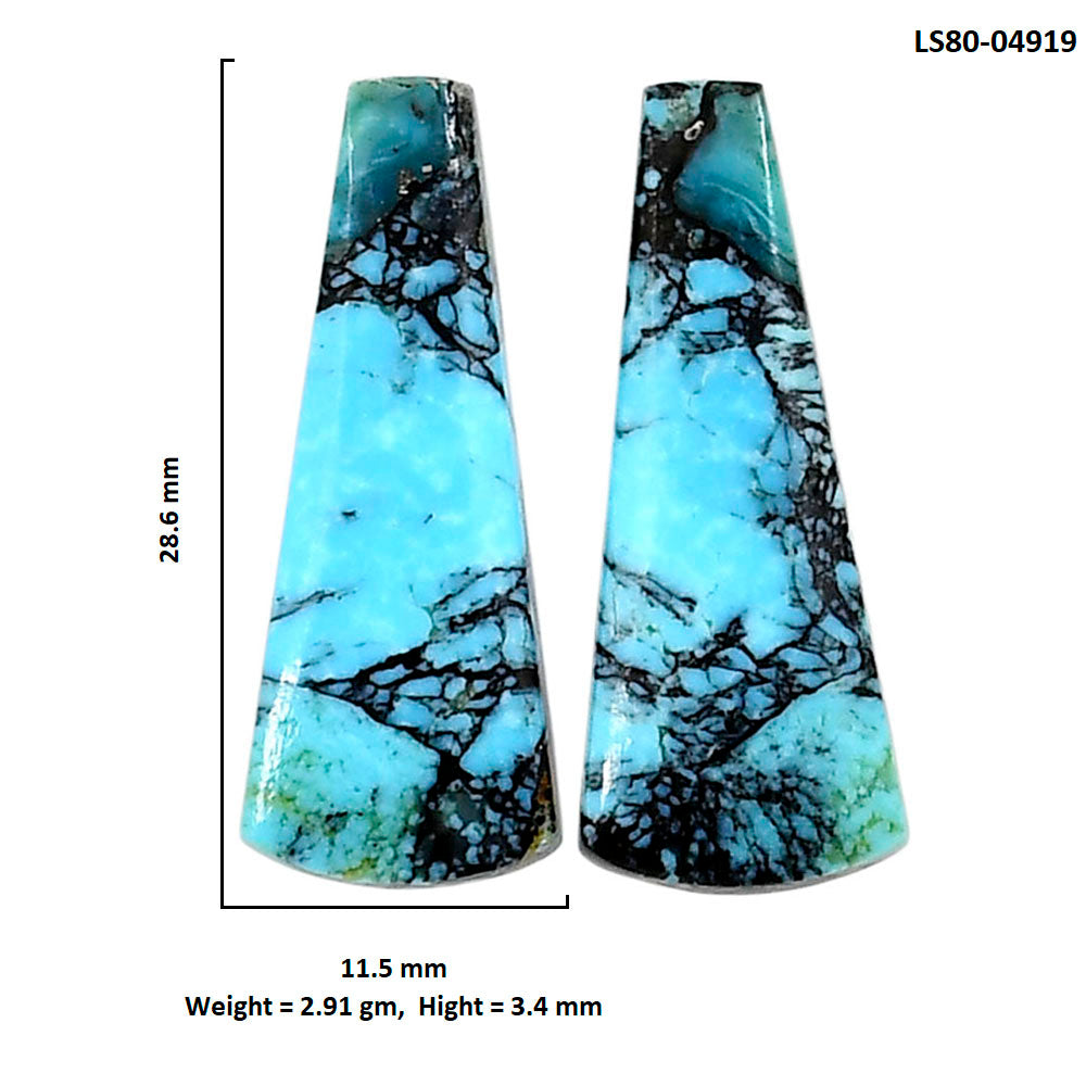 Lucky Charm Tibetan Turquoise Pair 11.5x28.6x3.4 mm Fancy Shape Polished Gemstone LS80-04919