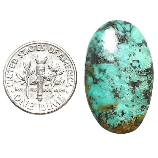 Lucky Charm Tibetan Turquoise 16.6x27.3x4.7 mm Oval Shape Polished Gemstone LS80-08788