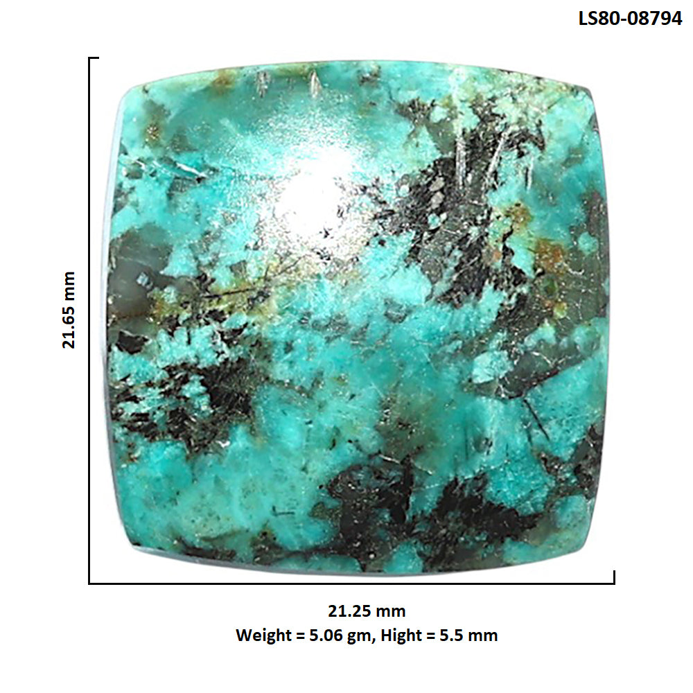 Lucky Charm Tibetan Turquoise 21.25x21.65x5.5 mm Cushion Shape Polished Gemstone LS80-08794