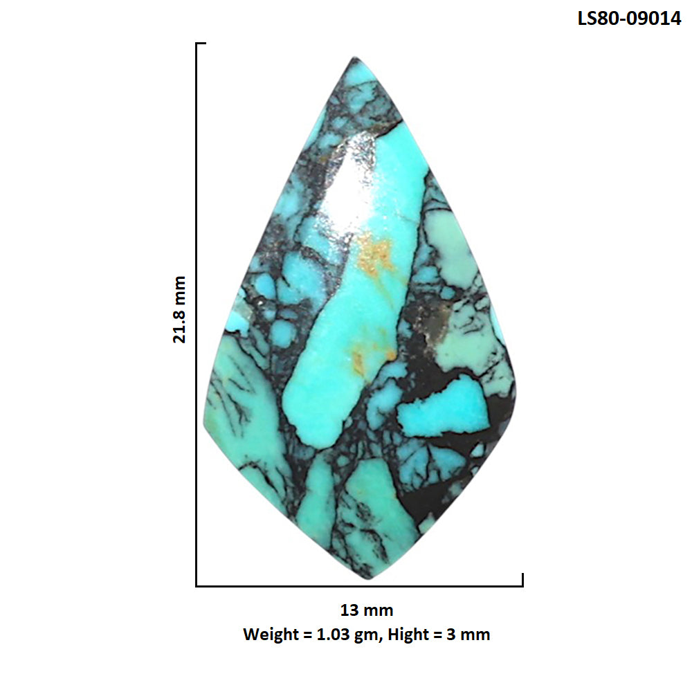 Lucky Charm Tibetan Turquoise 13x21.8x3 mm Fancy Shape Polished Gemstone LS80-09014