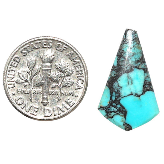 Lucky Charm Tibetan Turquoise 13x21.5x3.5 mm Fancy Shape Polished Gemstone LS80-09026