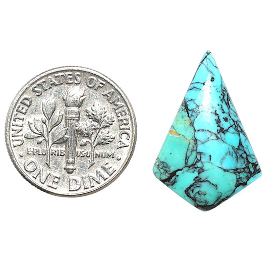 Lucky Charm Tibetan Turquoise 14.8x21.9x3.5 mm Fancy Shape Polished Gemstone LS80-09028