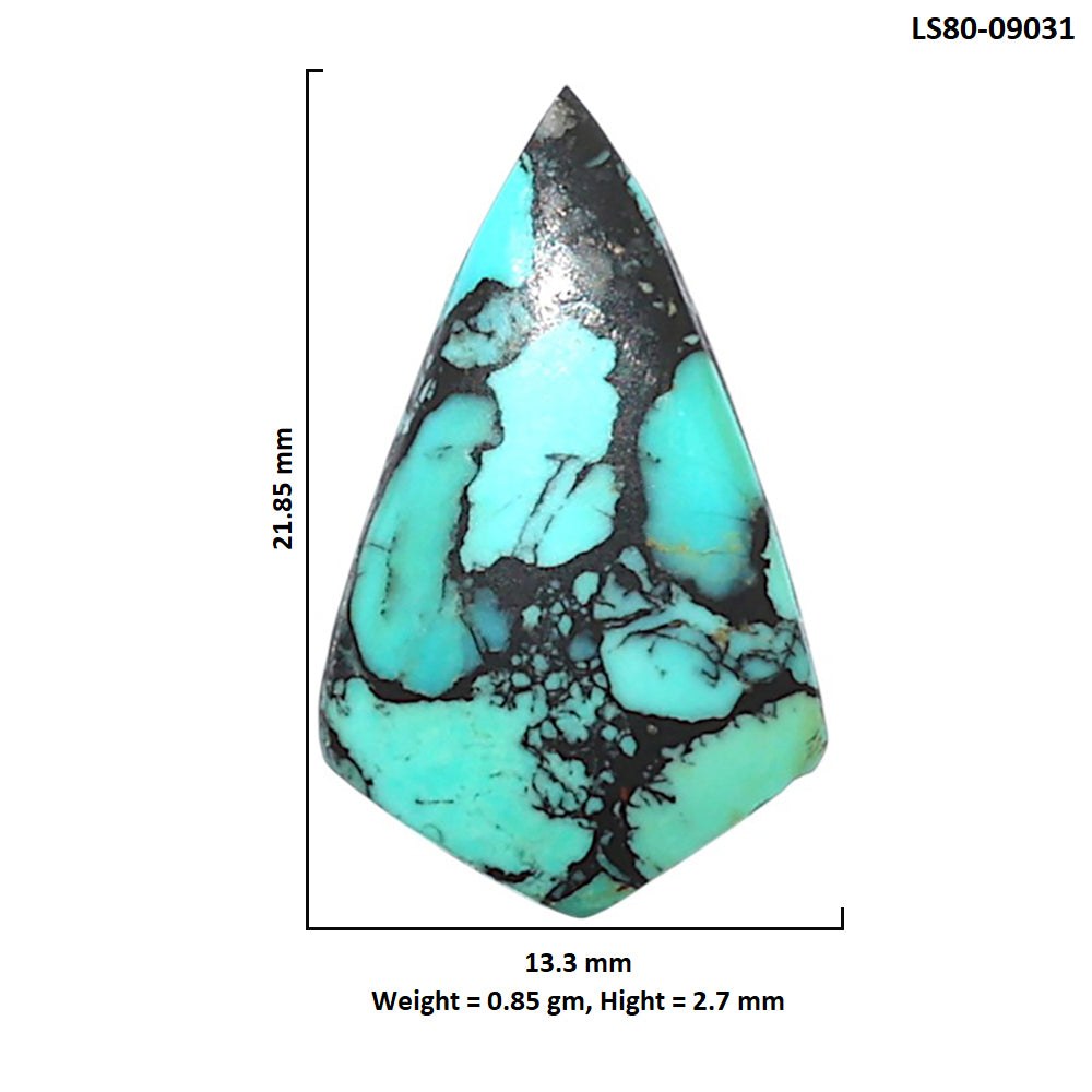 Lucky Charm Tibetan Turquoise 13.3x21.85x2.7 mm Fancy Shape Polished Gemstone LS80-09031
