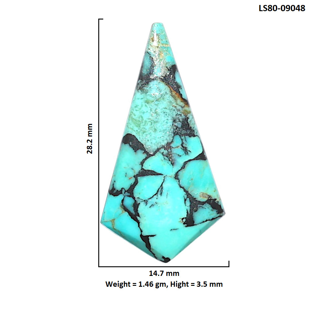 Lucky Charm Tibetan Turquoise 14.7x28.2x3.5 mm Fancy Shape Polished Gemstone LS80-09048