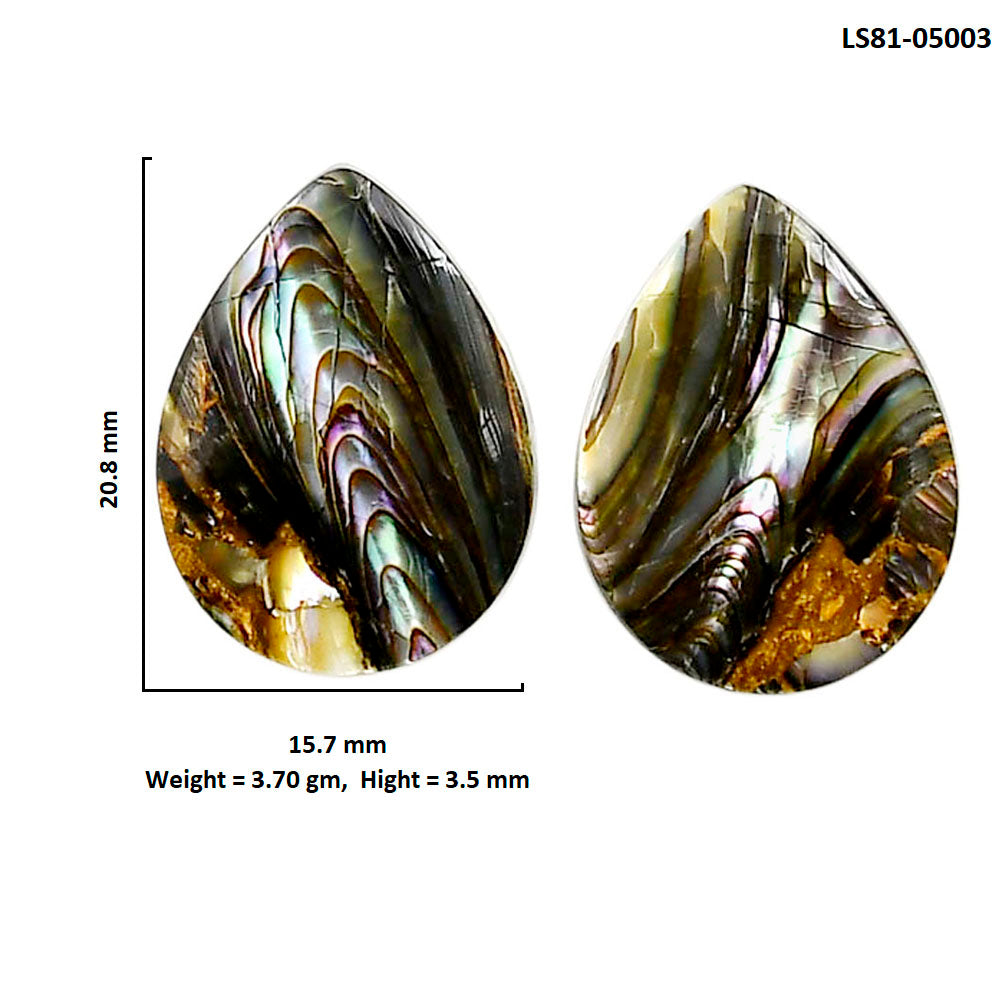 Copper Abalone Shell Pair 15.7x20.8x3.5 mm Heart Shape Polished Gemstone LS81-05003