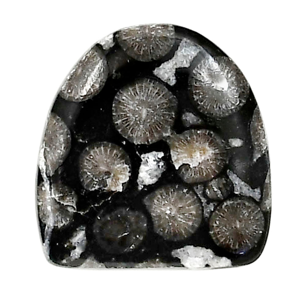 Black Flower Fossil Coral 20.4x21.2x4.5 mm Fancy Shape Polished Gemstone LS82-05006
