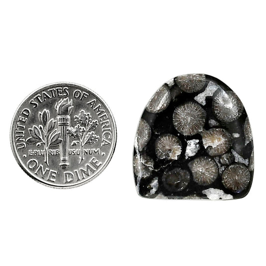 Black Flower Fossil Coral 20.4x21.2x4.5 mm Fancy Shape Polished Gemstone LS82-05006