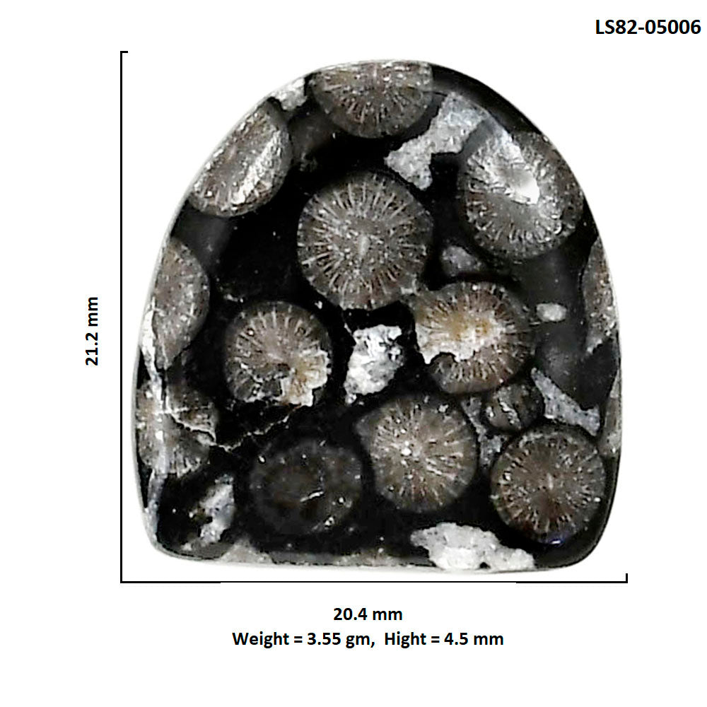 Black Flower Fossil Coral 20.4x21.2x4.5 mm Fancy Shape Polished Gemstone LS82-05006