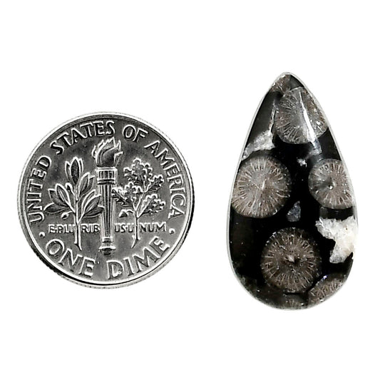 Black Flower Fossil Coral 13.4x24x5 mm Pear Shape Polished Gemstone LS82-05007