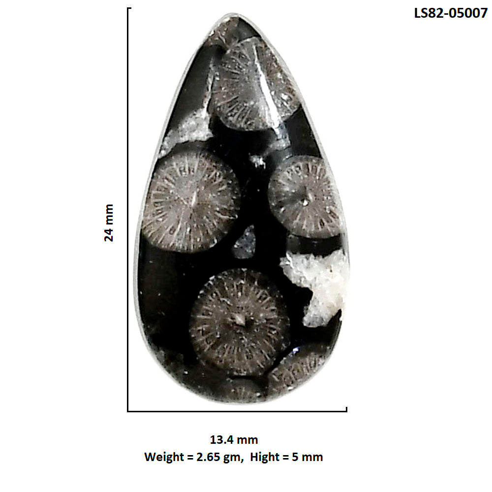 Black Flower Fossil Coral 13.4x24x5 mm Pear Shape Polished Gemstone LS82-05007