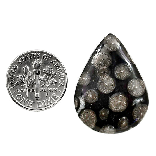 Black Flower Fossil Coral 21.85x29.25x2.7 mm Pear Shape Polished Gemstone LS82-05009