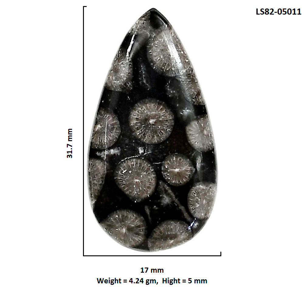Black Flower Fossil Coral 17x31.7x5 mm Pear Shape Polished Gemstone LS82-05011